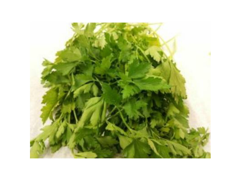 VŇAŤ PETRŽLENOVÁ VOĽNÁ /VÁHA/