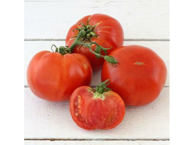 PARADAJKY BIO MÄSITÉ