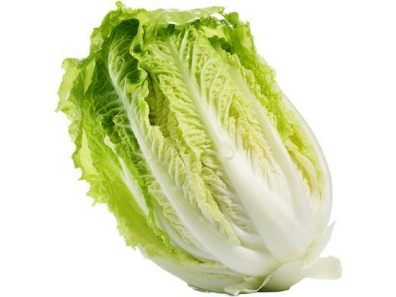 KAPUSTA PEKINGSKÁ